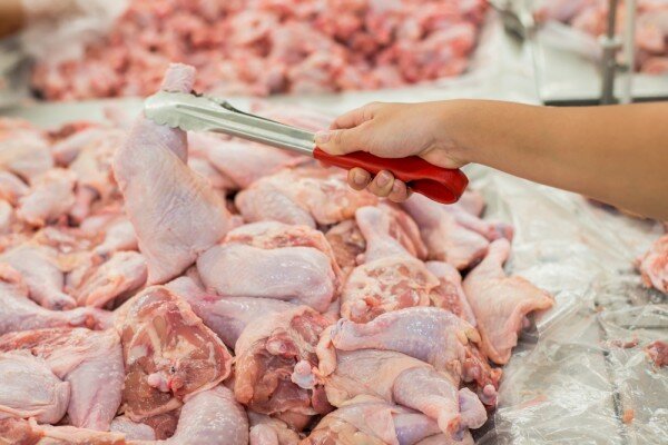 Россельхознадзор вернул в Турцию 108 тонн куриного мяса, поставленного в Калининград