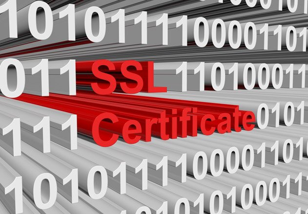 Если вы решитесь купить SSL-сертификат, то получите массу функциональных преимуществ для своего веб-проекта