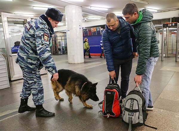 Пассажиров метро Северной столицы защитят четвероногие